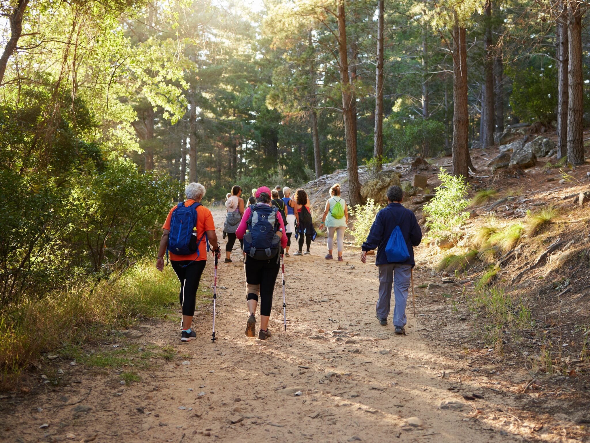 Vidéki csapatépítők iStock-2154106293